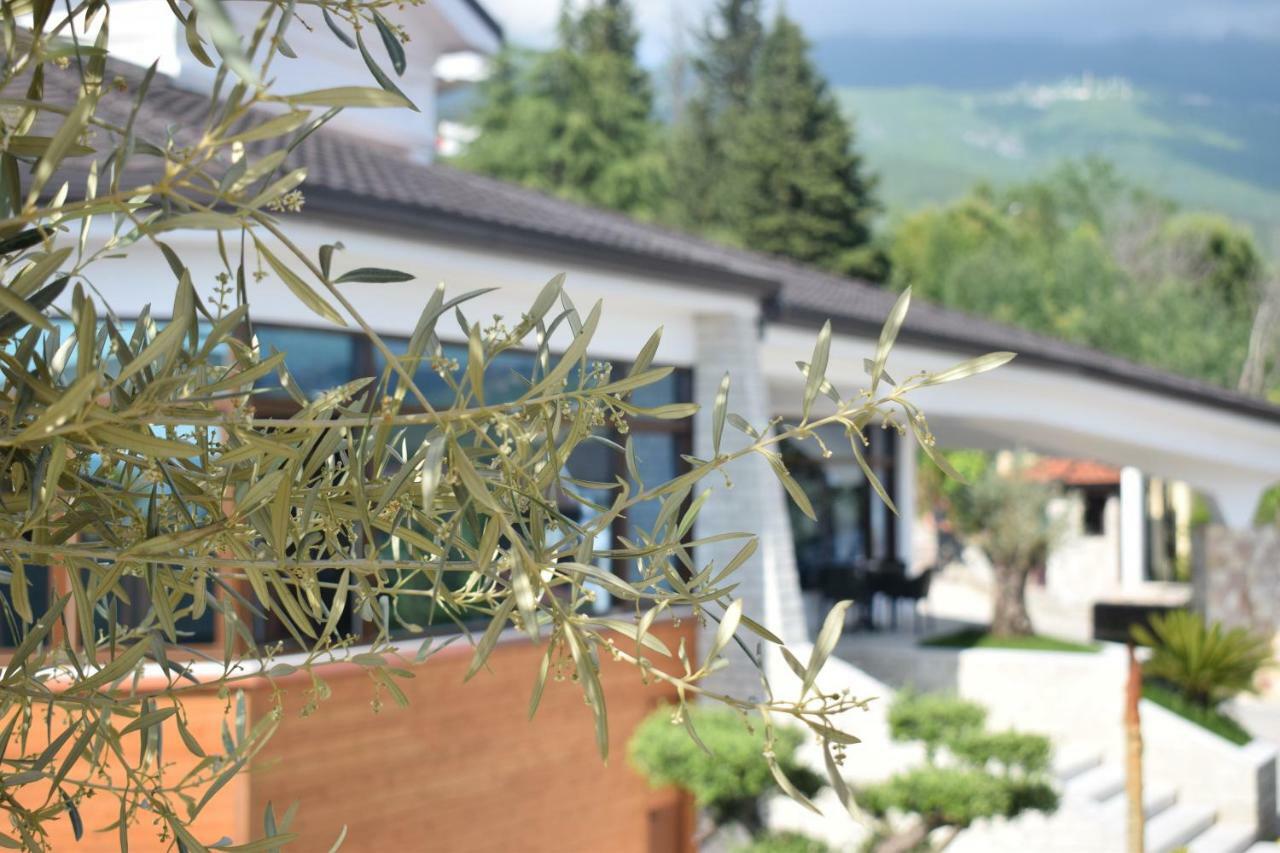 Chateau Linza Resort Тирана Екстериор снимка