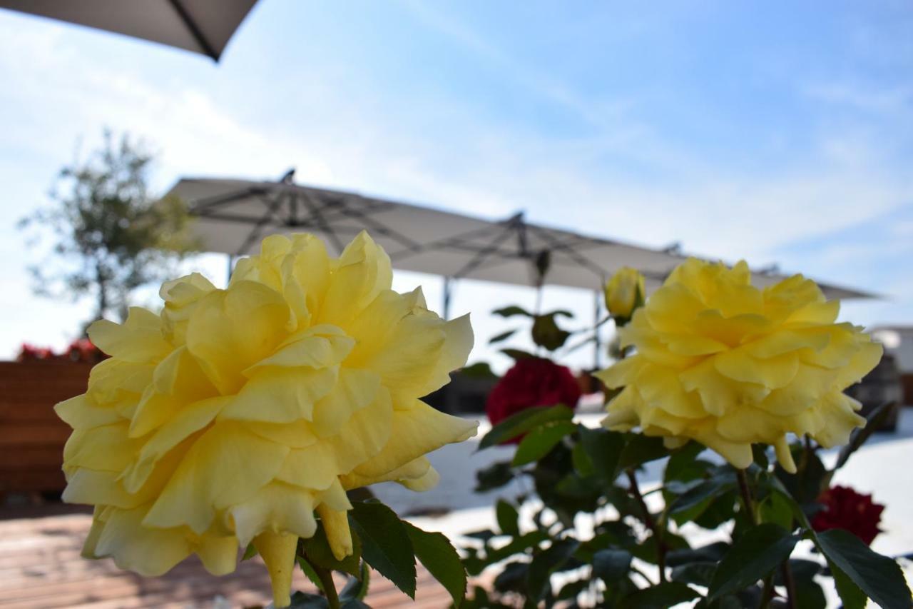 Chateau Linza Resort Тирана Екстериор снимка